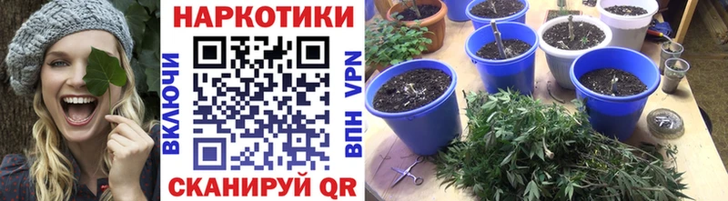 Магазин наркотиков Городец APVP Мефедрон ГАШ Псилоцибиновые грибы Конопля