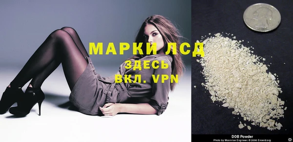 spice Богородицк