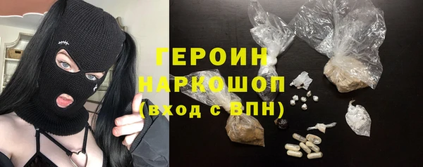 spice Богородицк