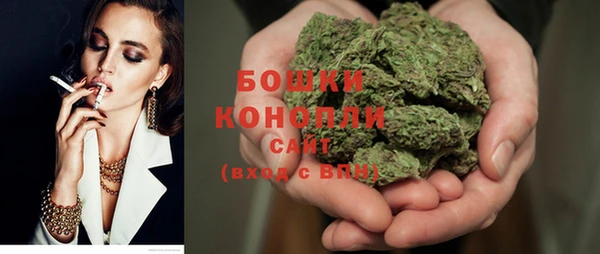 spice Богородицк