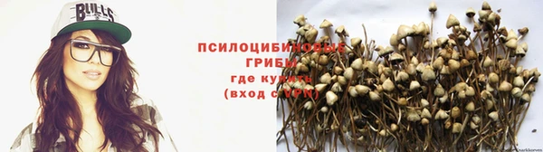 spice Богородицк
