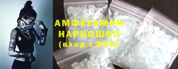 стаф Богданович