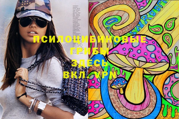 spice Богородицк