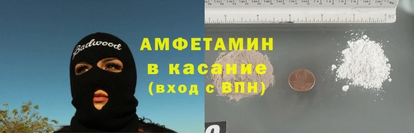 стаф Богданович