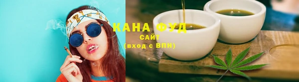 spice Богородицк