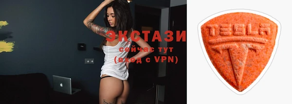 стаф Богданович