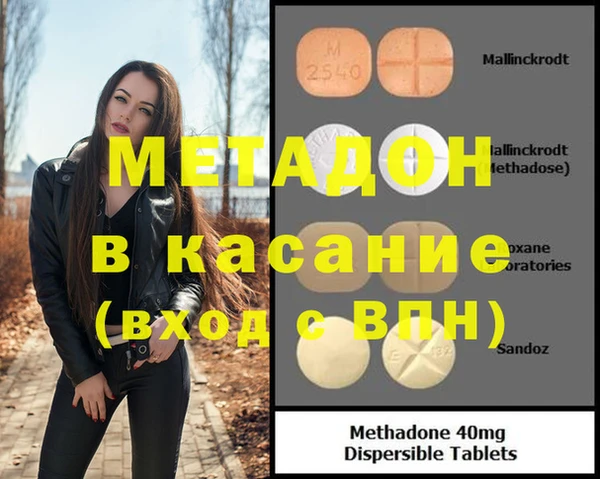 стаф Богданович