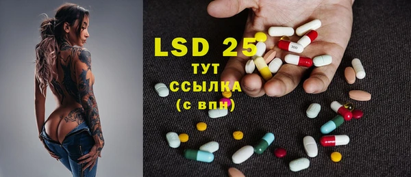 spice Богородицк