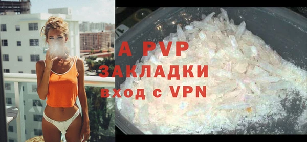 spice Богородицк