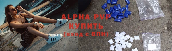 стаф Богданович