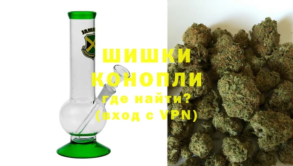 spice Богородицк