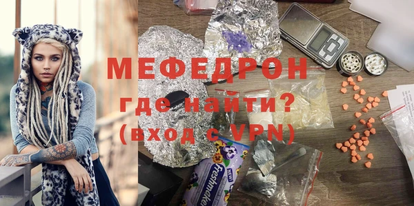 spice Богородицк