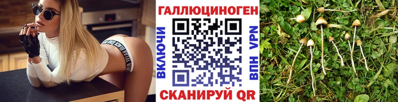 Псилоцибиновые грибы ЛСД Городец